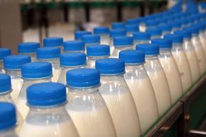 milk-------450-267_jpg_300x200_crop_q70
