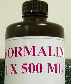 formalin1