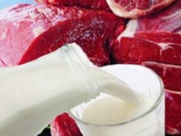 Молоко из Новой Зеландии в официальном порядке запретили