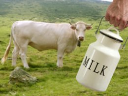 Помогает ли молоко при похудении