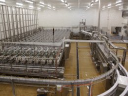 Процесс переработки молока на производстве